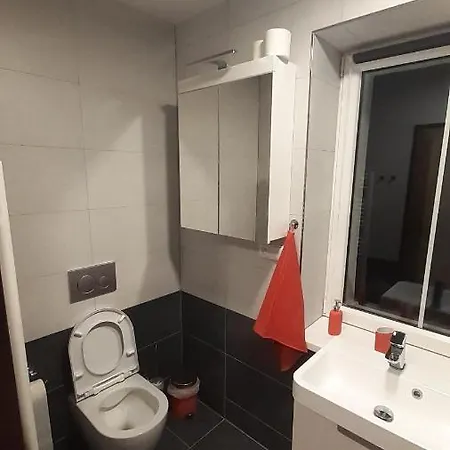 Apartment Radost Kovarska