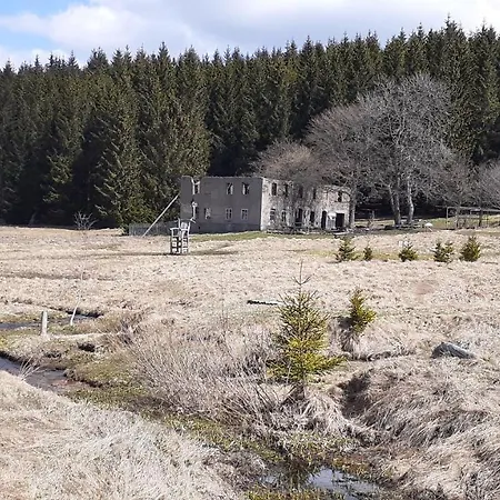 Radost * Kovarska